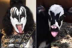 Even Gene Simmons sees the resemblance