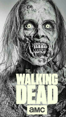 The Walking Dead, fox, zombie,phone | Peakpx