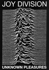 Joy Division punk Poster Unknown Pleasures Ian Curtis