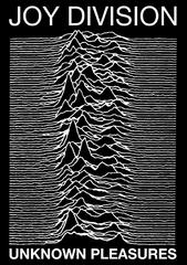 Joy Division Unknown Pleasures