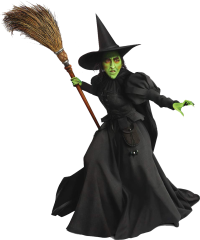 Wicked Witch of the West (Adult Women's Rubie's Wicked Witch Costume) (The Wizard of Oz)