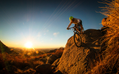 man, mountain bike, cyclist