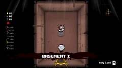 The Binding of Isaac: Rebirth (The Binding of Isaac)