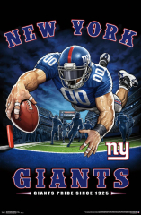 NEW YORK GIANTS - END ZONE 17