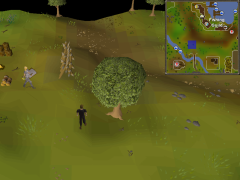 Old School RuneScape (osrs clue hunter outfit)