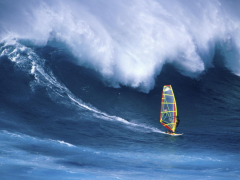Person Windsurfing in the Sea