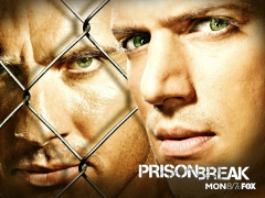 prison break, brother, dominic purcell