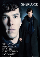 Sherlock Tv Show Version X
