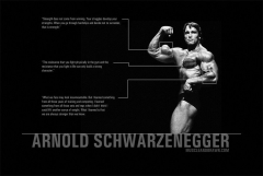 Bodybuilder Actor Arnold Schwarzenegger Fitness