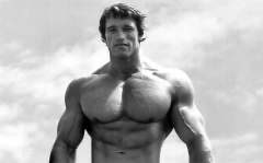 Bodybuilder Actor Arnold Schwarzenegger Fitness