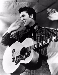 American Rock Singer Actor Elvis Presley The King