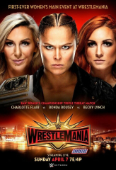 WrestleMania 35 2019 WWE Event Ronda Rousey VS Flair VS Lynch