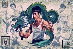 Bruce Lee Chinese Kung Fu cartoon