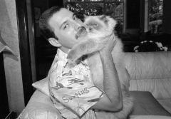 Freddie Mercury Queen Cat Lover Singer 4