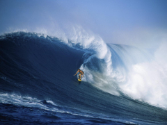 Surfer Riding a Wave