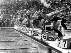 Swimming Competition at Berlin Olympic Games in 1936 : Here Swimmers Diving in Swimmming Pool