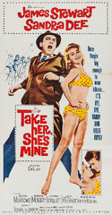 Take Her, She's Mine (1963) Movie