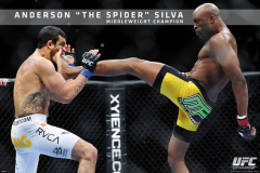 UFC - Anderson Silva Sports Poster