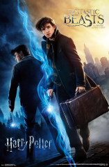 Wizarding World- Harry Potter &amp; Fantastic Beasts